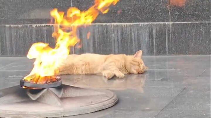 เกือบคิดว่าถูกเปิดใช้งานแล้ว 😂