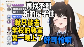 【礼墨Sumi】这下真流浪瓜咪了，还会成为校园第八大事件！