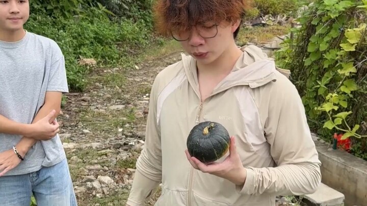 This garbage dump actually manages to grow pumpkins.