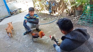 bata pa