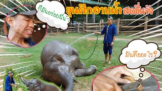 น้องขุนศึกจอมซน#น้องชายน้องน้ำเพชร