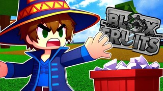 ROBLOX BLOX FRUITS FOI ABANDONADO!