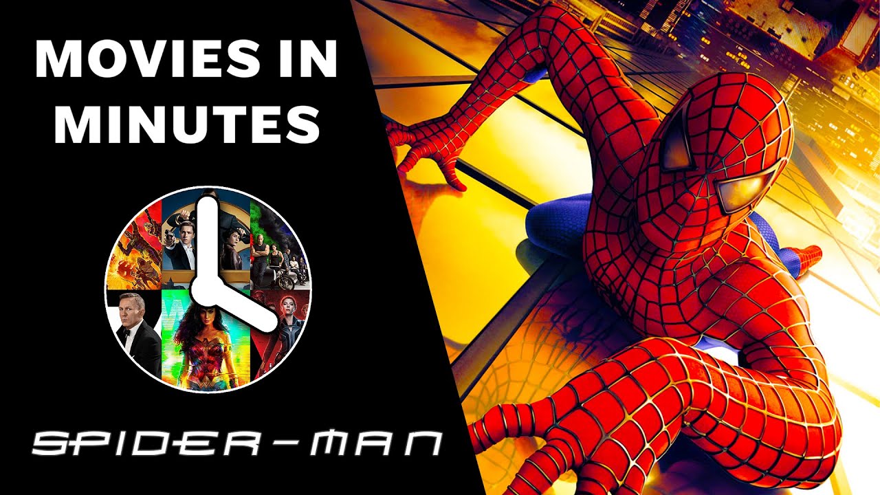 Spider-man: Into The Recap