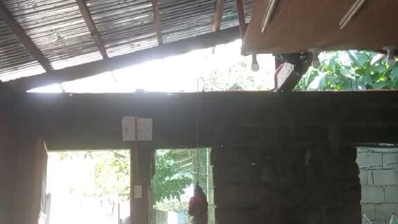 nag iisang jan @ ver.