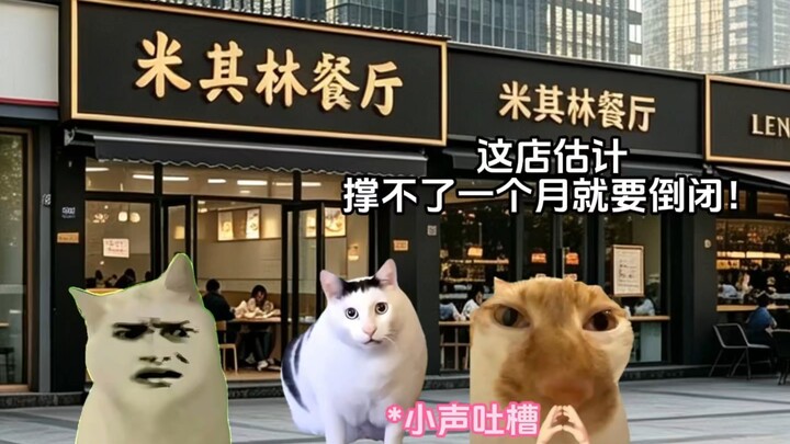“Chef Xiao Hei’s Shop” – A Cat Meme Mini-Show #CatMemeStory