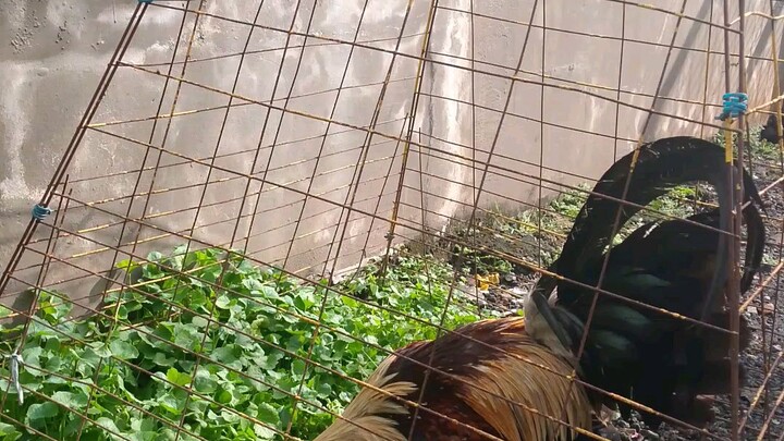 good luck sayo sa July sana palarin Tayo🙏🙏