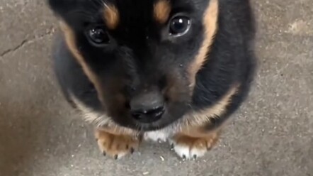 Đời người ngắn ngủi