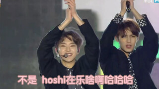 โฮชิกำลังทำอะไรอยู่เนี่ย นี่คือเสือตัวสุดท้ายของสาธารณรัฐเกาหลีเหรอ!