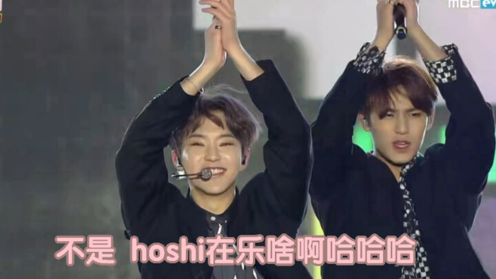 hoshi在傻乐什么啊 这就是大韩民国最后一只老虎吗！