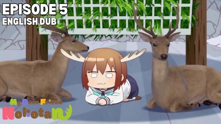 My Deer Friend Nokotan Episode 5 (English Dub)