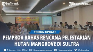 Pemprov Sultra Buka Konsultasi Publik, Bahas Rencana Pelestarian Hutan Mangrove di Sulawesi Tenggara