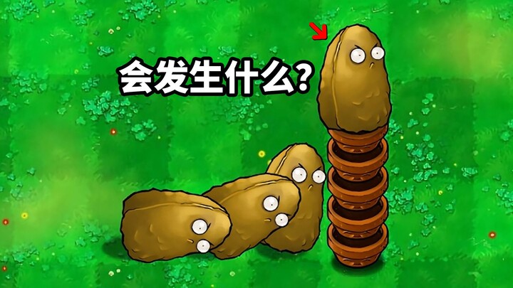 Apa yang akan terjadi ketika kacang-kacangan tinggi berganti menjadi domino?