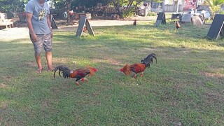 spar muna bago ilaban