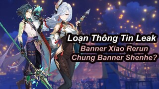 Loạn Thông Tin Leak, Banner Xiao Rerun Chung Banner Shenhe?? | Genshin Impact.