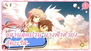 อลวนสุดป่วน นางฟ้าตัวยุ่ง|[อิคะเริส] หัวใจช่างเจ็บปวดเหลือเกิน!!!!_1