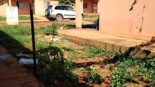 Cuộc sống châu phi__ Đặt niềm tin vào người dân châu phi và cái kết....