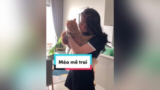 Không phải mình mèoyamate mê trai, mà đa số mèo đều mê trai😅😅😅nhàyama mèoyamaha mèoyanghồ langmeotiktok phanyennhi