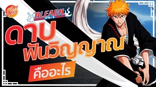 BLEAC : ดาบฟันวิญญาณ คืออะไร