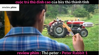 Tóm tắt phim Thỏ Peter 1 phần 5 #phimhayreview