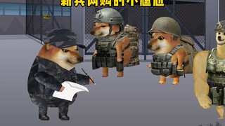 新兵网购的小尴尬。