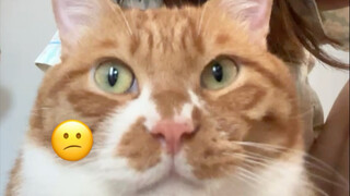 Kami baru saja bangun tidur～