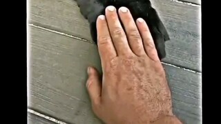 bro💀