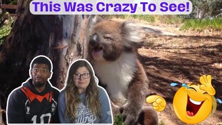 AMERICANS REACT TO Only in Australia | Funny Video Compilation
