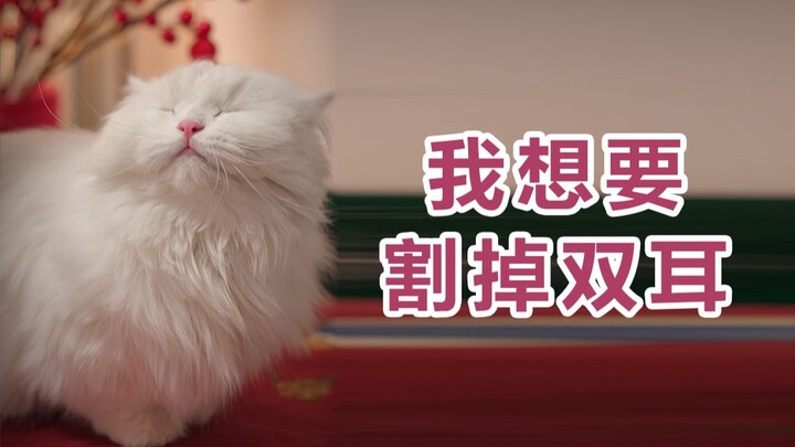 الحساسية قدرة خارقة، وما عليك فعله ليس التخلص منها، بل تعلم كيفية استخدامها.