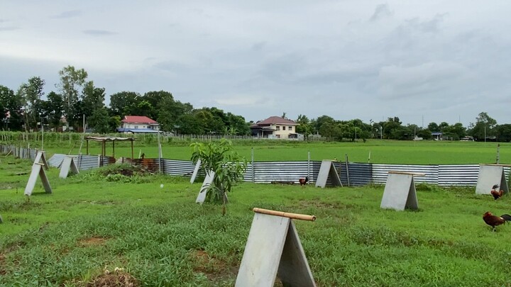Buhay probinsiya
