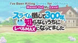 I've been killing slimes for 300 years and maxed out my level Quick Review