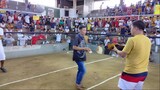 2cock UDC 7-21-23 Pampanga Jr-2 1st fight Win