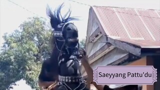 Kuda bisa Menari!!! 🤩🤩