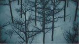 Cold - AMV -「Anime MV」 #1