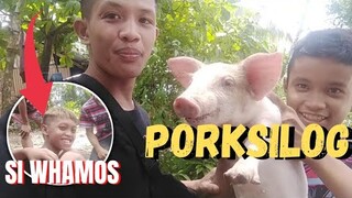 ANG BABAIT NANG BABOY PARANG ASO