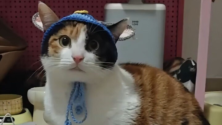 Profil Tokoh Internet Episode 51: Pintu Besar yang Super Tak Terkalahkan