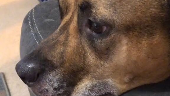 One Share Could Change His Life Forever 🥺❤️