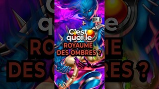 C'est quoi le ROYAUME des OMBRES de Yu-Gi-Oh! #card #yugioh #anime