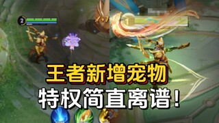 The planners have completely let loose! New pets follow the battle + health bar skins!