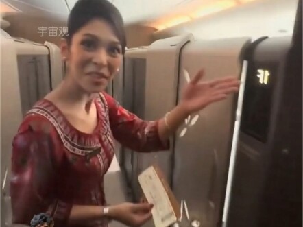 So planes really do have double beds?