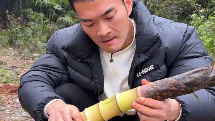 Đã đến mùa đào măng xuân rồi, các anh em ơi! Lần đầu tiên mình đào măng, không biết có ăn được không
