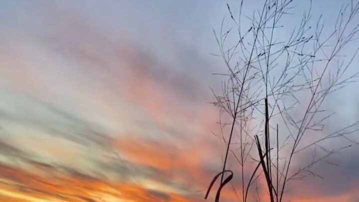 قسّ العالم بخطواتك، ودع روحك تتحسّس الأماكن البعيدة. في أجمل لحظات الحياة، اترك الأراضي الغريبة تُشف