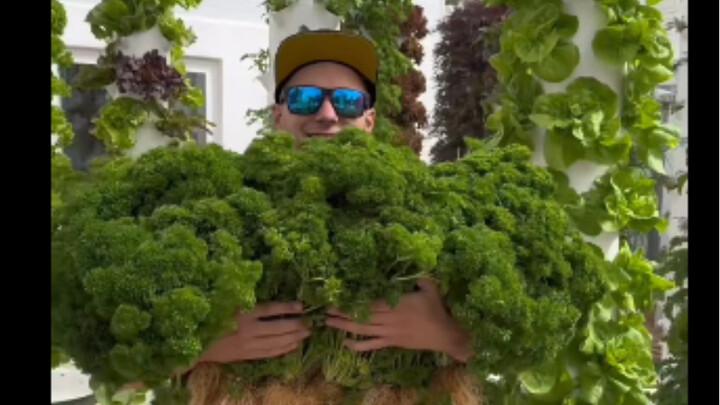 Fresh veggies and fruits always look amazing!