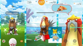 Shiny Entei Raid Boss Gameplay | Pikachu Hat Squirtle Ends Entei's Career| Legendary Raid Pokemon Go