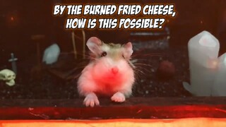 ภารกิจของหนูแฮมสเตอร์ EP 337