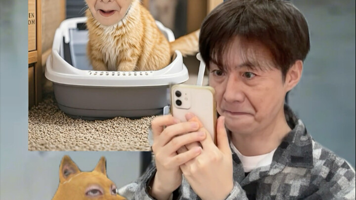 بعد عودة القطّة المدينة إلى القرية، طلب منها عجوز أن تطبخ له الطعام.