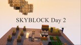 TIMELAPSE SKYBLOCK JowoCraft, SkyBlock day #2