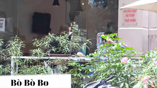 Quỵt tiền #bobobo