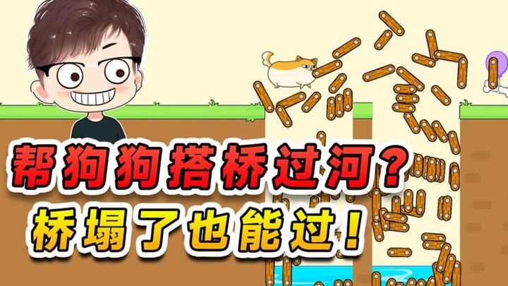 帮狗狗搭桥过河？虽然这桥塌了，但也不耽误狗狗过河！