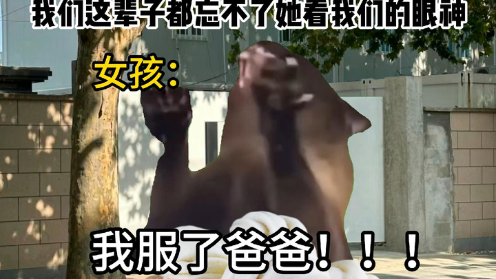 【มีมแมว】ดูท่าจะหิวจริงๆ แล้ว