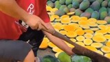 Wow! amazing Mango Cutting tool